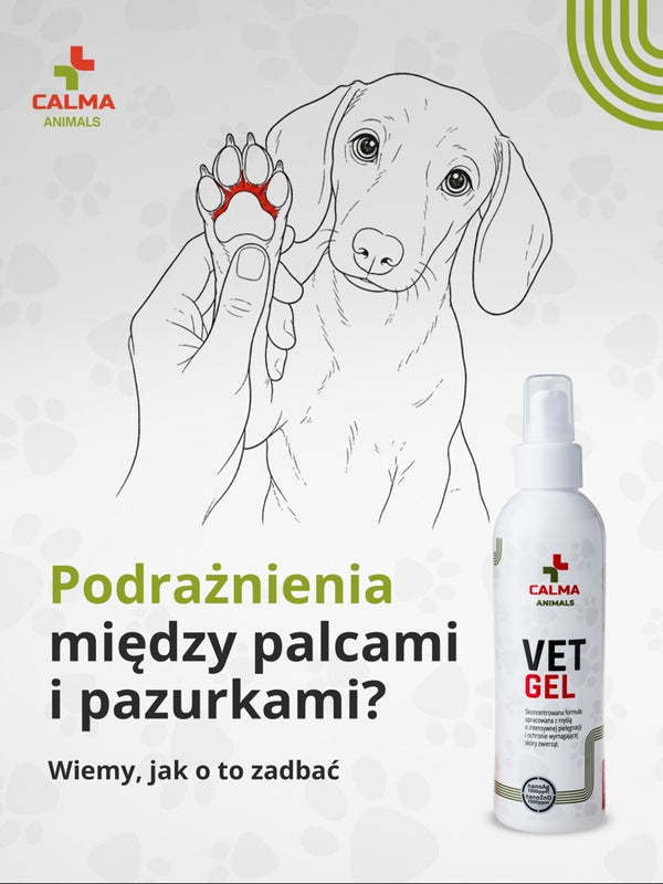 Szkic psa i łapy obok butelki VET GEL